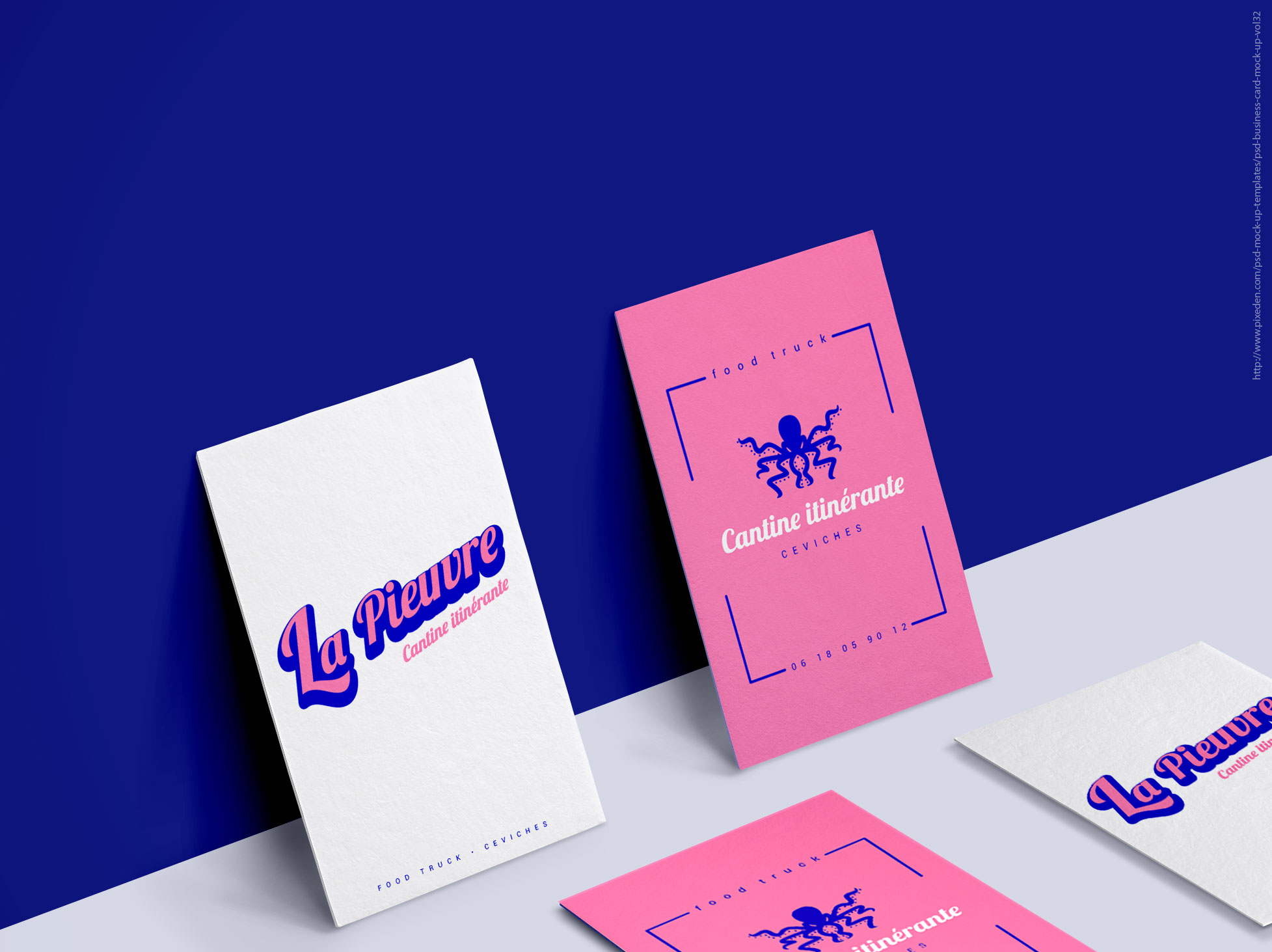 LA PIEUVRE Audemarine Nicolet